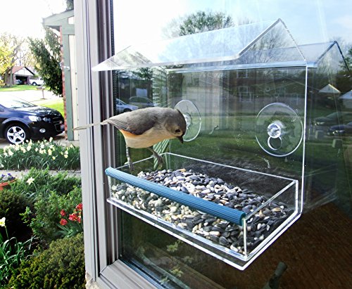 Bird Feeder For Window - Removable Trayamp Drain Holes - Durable Acrylic Clear Window Feeder For Unlimited Wild