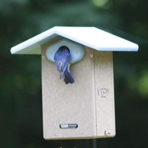 Birds Choice Ultimate Bluebird House With 1-916&quot Hole And Interior Camera