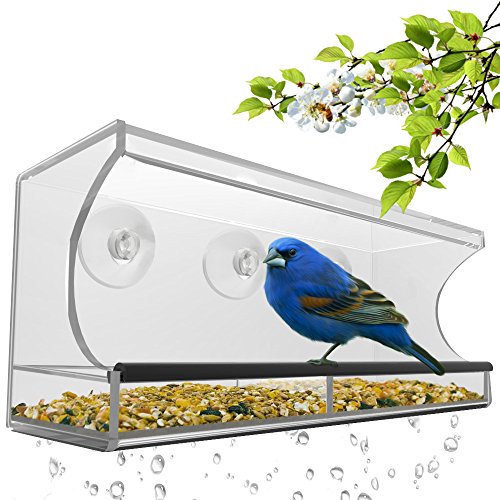 Large Window Bird Feeder - Clear Removable Tray Drain Holesamp Beautiful Packaging Enjoy Wild Birds Up Close