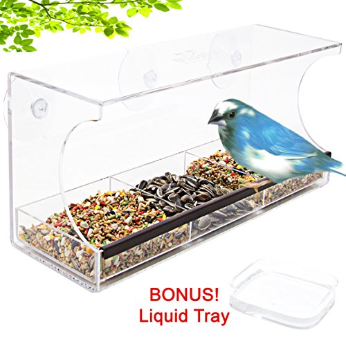 Large Window Bird Feeder W Bonus Water Tray - Clear Removable Seed Tray Liquid Tray Drain Holesamp Safe Packaging