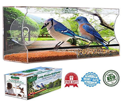 Seenature Clear Window Bird Feeder With Drain Holes Suction Cups And Ebook Large