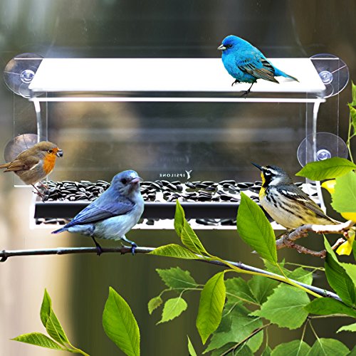 Window Bird Feeder By Ipsilone- Large Acrylic Window Feeder- Wide Opening- Easy Cleaningamp Refilling- Drain Holes