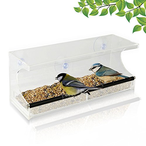 Window Bird Feeder - See-through Acrylic - Clear Removable Slide Out Tray - Drainage Holes Keep Bird Seed Fresh