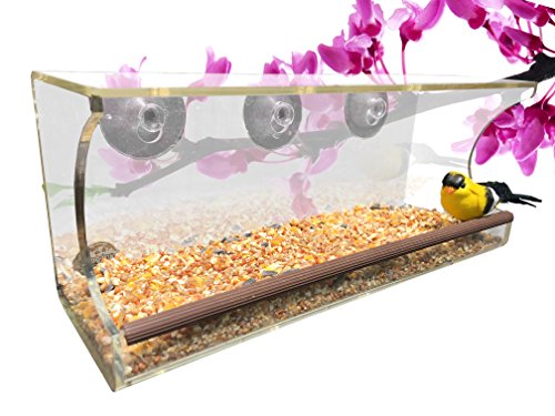 Yolo Bird Feeder-3 Suction Cups Clear Acrylic Drain Holes Enjoy A Close Up View