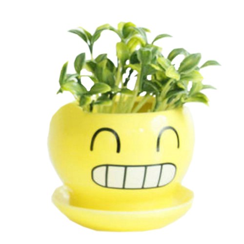 Creative DecorGift Gloating Cartoon Earthenware Planter Flower Pot 3527