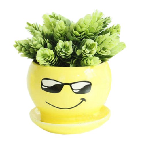 Creative DecorGift Show Off Cartoon Earthenware Planter Flower Pot 3527