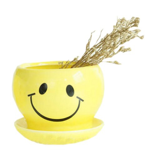 Creative DecorGift Smiling Cartoon Earthenware Planter Flower Pot 3527