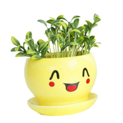 Creative DecorGift Tongue Cartoon Earthenware Planter Flower Pot 3527