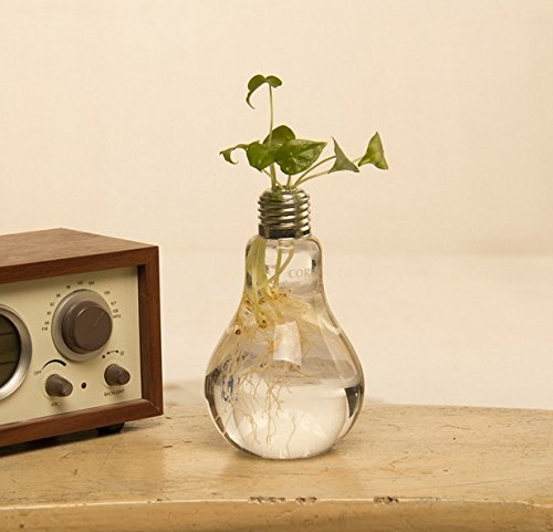 Fashionstorm Home Decor Creative Glass Bulb Vase Water Planting Glass Vessel Desktop Flower Potswater Planter