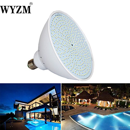 WYZM 20Watt 12Volt Color Changing Pool Lights LED Bulb 12V 20w