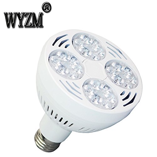 Wyzm 35watt Swimming Pool Led Light Bulb 6000k Daylight White E26 Screw Base 500w Traditional Bulb Replacement