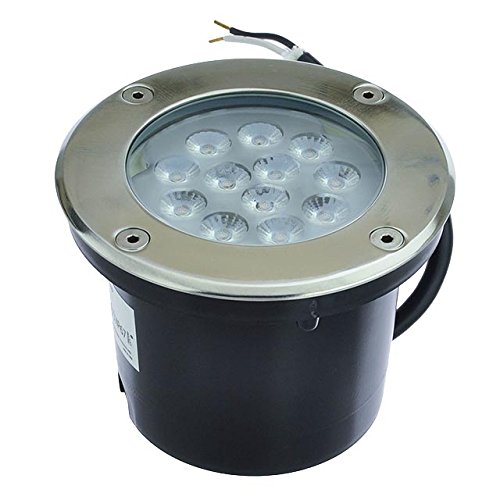 Ledwholesalers Low Voltage In-ground Led Well Light With Brushed Stainless Steel Trim 12v Acdc 14w 3733ww