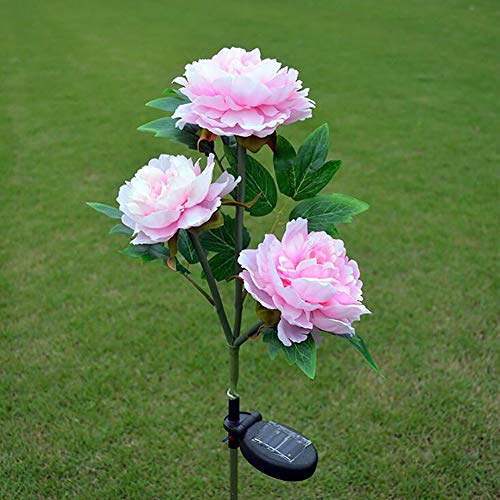 SHANGXIAN Solar Flower Lights LED Simulation Peony Flower Outdoor Garden Decorative Landscape Lighting Lawn Light Ground Plug LightPink