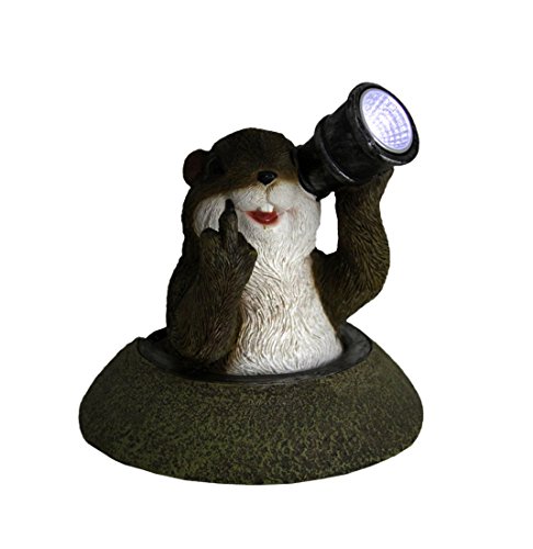 Funny Solar Eyes Middle Finger Groundhog Led Accent Light Statue