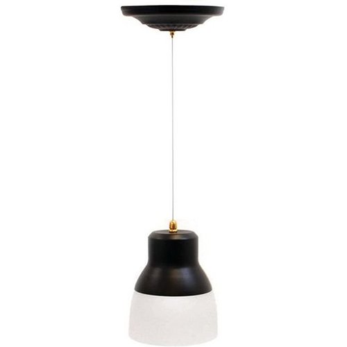 Its Exciting Lighting Lighting Glass Pendant Bronze Ir Led Light