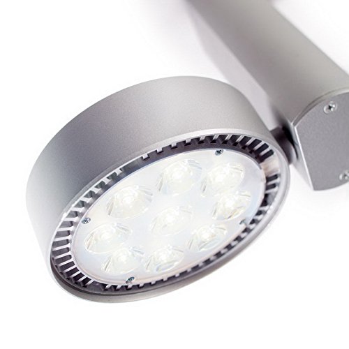 Spot LED Flood Track Light Finish Aluminum Globe Type 3000K