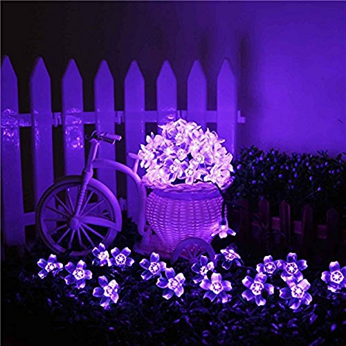 Kyson Solar Fairy String Lights 21ft 50 Led Purple Blossom Decorative Gardens Lawn Patio Christmas Trees Weddings
