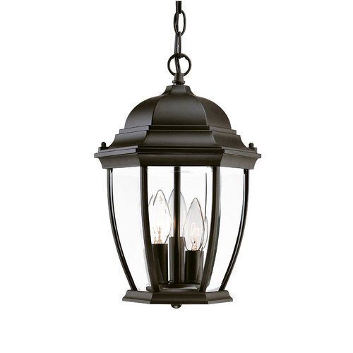 Acclaim 5036bk Wexford Collection 3-light Outdoor Light Fixture Hanging Lantern Matte Black