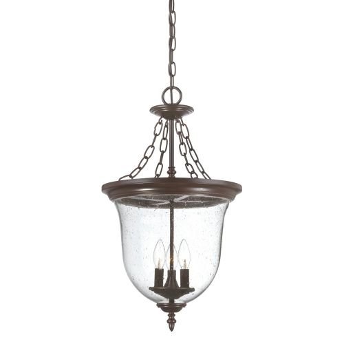 Acclaim 9316ABZ Belle Collection 3-Light Outdoor Light Fixture Hanging Lantern Architectural Bronze