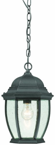 Thomas Lighting SL92337 Covington Outdoor Hanging Lantern Black