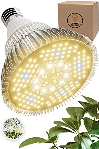 100W LED Grow Light Bulb - Warm White Full Spectrum Plant Light for Indoor Plants Garden Aquarium Vegetables Greenhouse Hydroponic Growing by Haus Bright 100W Warm White