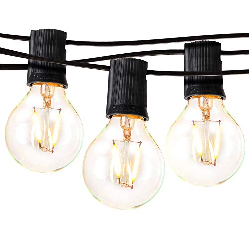 Brightech Ambience Pro - LED Outdoor Globe String Lights - Hanging 1W Vintage Edison Bulbs - Waterproof Patio Lights Create Cafe Ambience On Your Balcony - 26 Ft - Black