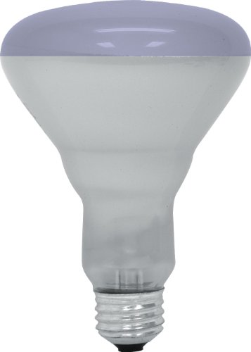 GE Lighting 20996 65-Watt R30 Plant Flood Light Bulb Plant Light1-Pack