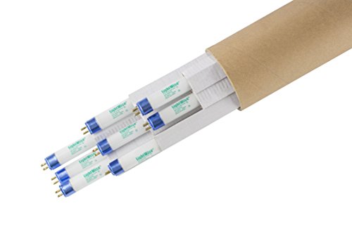 Lightingwise 4 FT 6500K T5 HO Fluorescent Grow Light Bulbs - Pack of 1482040 8 6500k - blue - veg