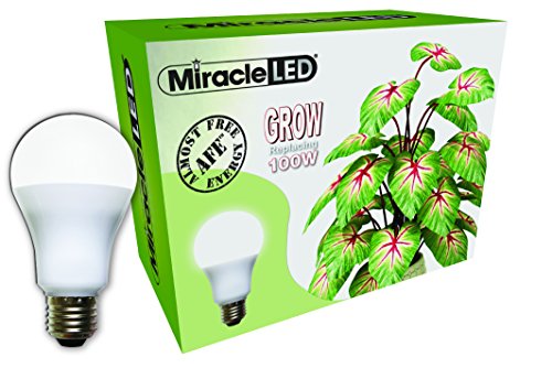 Miracle LED Almost Free Energy 100W Spectrum Grow Lite - Daylight White Full Spectrum LED Indoor Plant Growing Light Bulb for DIY Horticulture Hydroponics and Indoor Gardens 604293 Single Pack