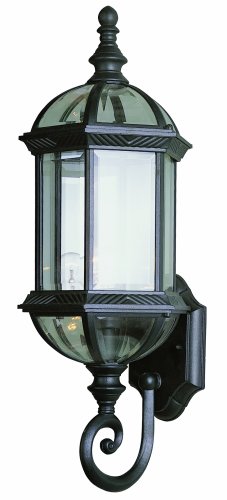 Trans Globe Lighting 4180 Bk 22-14-inch 1-light Outdoor Wall Lantern Black