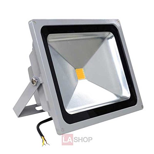 50 Watt LED Waterproof Flood Light Fixture Warm White