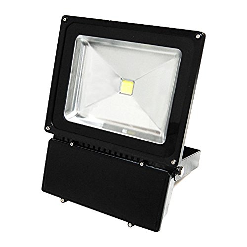 eTopLighting Super Bright LED Flood Light Indoor Outdoor Waterproof Lamp Landscape Lighting APL1174 100W Daylight 120V