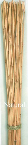 Green Floral Crafts Honey Bamboo Poles 4 By 18-14&quot Diameter Package Of 30 - Light Natural Bamboo