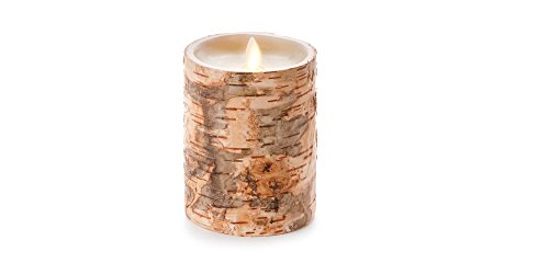 Darice Luminara Unscented Flameless Pillar Candle Embedded WBirch - 4 X 5 In