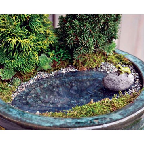 Miniature Fairy Garden Frog Pond