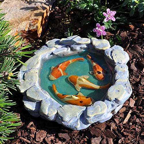 Miniature Fairy Garden Tranquil Koi Pond