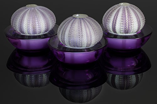 SeaThingz Flameless Candles - Sea Urchin for Indoor Outdoor Decorative Novelty Lighting - LED Battery Operated Tealight for Elegant Home Decor - Unique Nonstandard Shaped Candle Purple pack of 3
