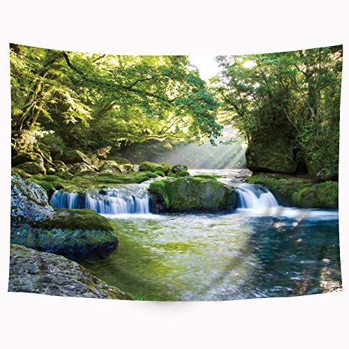 Riyidecor Forest Waterfall Tapestry Jungle Landscape Rainforest 51x59 Inches Green Spring Nature Tree Rock Seasonal Art Hanging Bedroom Living Room Dorm Wall Blankets Home Decor Fabric