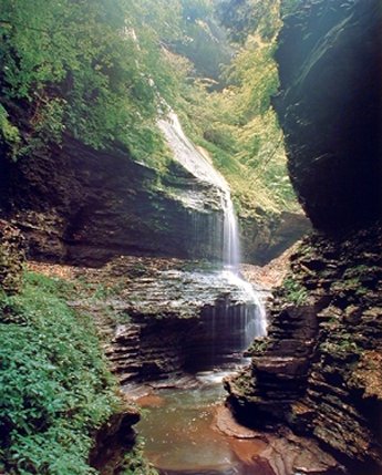 Watkins Glen New York Waterfall Nature Woods Scenery Wall Decor Art Print Poster 16x20