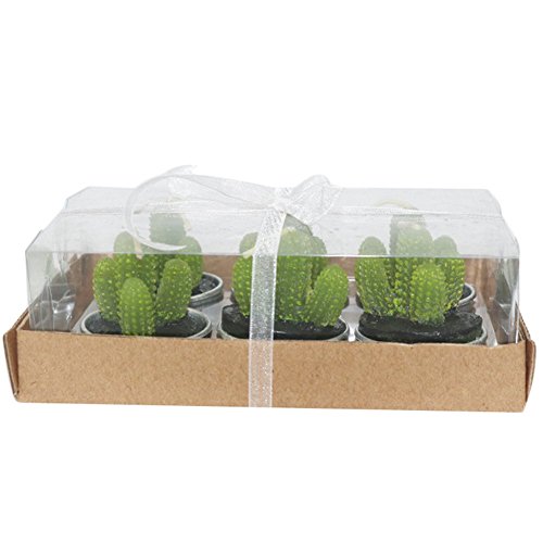 Outflower 6pcs Cactus Candle Mini Cute Succulent Tea Light Candle Birthday Creative Candle Decorative Candles