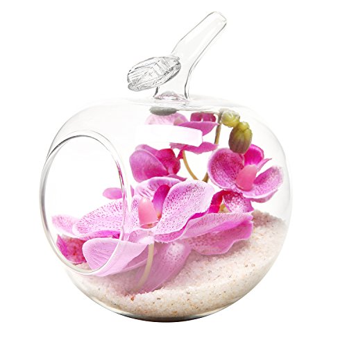 Apple Shaped Tabletop Clear Glass Air Plant Terrarium  Votive Candle Holder  Home Decor - Mygift&reg