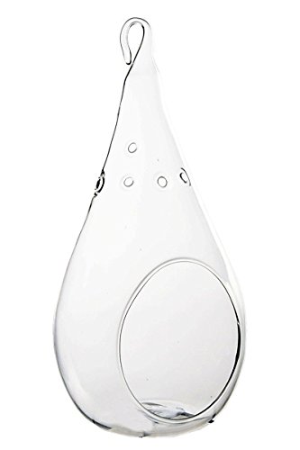 Best Value 7 Inch Glass Hanging Teardrop Plant Terrarium Votive Holder