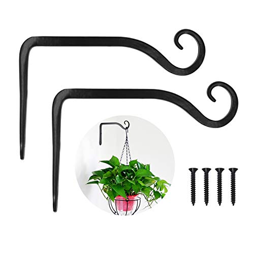 LOOGI Plant Hooks Iron Wall Hanger Decorative Bracket Holder 6 Inch for Hanging Planter Lantern Bird Feeder Sconce - 2 Pack