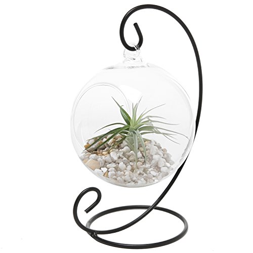 MyGift Charming Clear Glass Hanging Planter Terrarium GlobeTea Light Candle Holder Lantern wBlack Metal Stand