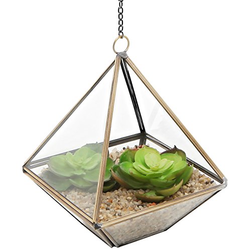 Clear Glass Brass Tone Metal Faceted Hanging Air Plant Terrarium  Tea Light Candle Holder - MyGiftÂ