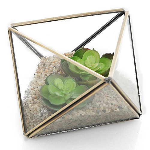 Diamond Shape Glass Prism Terrarium With Brass Rim  Air Plant Display Case  Tea Light Candle Holder
