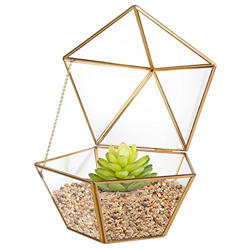 Homeideas Clear Glass Metal Faceted Tabletop Air Plant Terrarium Box  Decorative Tea Light Candle Holder 69