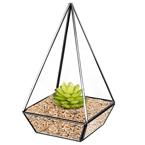 Homeideas Clear Glass Metal Faceted Tabletop Air Plant Terrarium Box  Decorative Tea Light Candle Holder 6 X