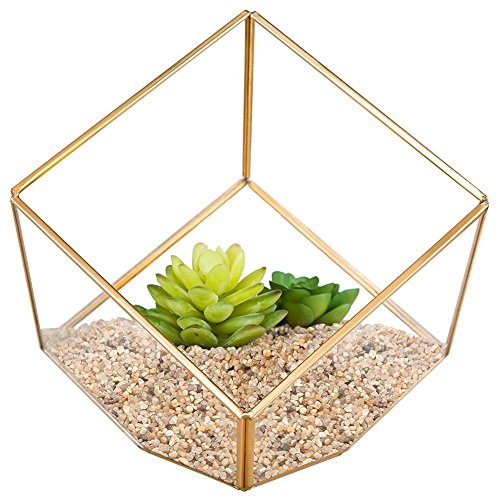 Homeideas Modern Artistic Clear Glass Cube Box Glass Plant Terrarium  Decorative Votive Candle Tea Light Holder