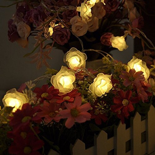 M&ampt Tech 30 Led Rose Flower Fairy String Lights Battery Operated For Christmas Tree Indoor Outdoor Decoration